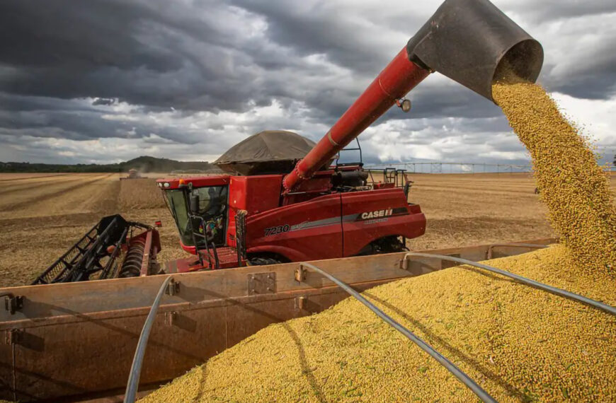 Os desafios da logística da…