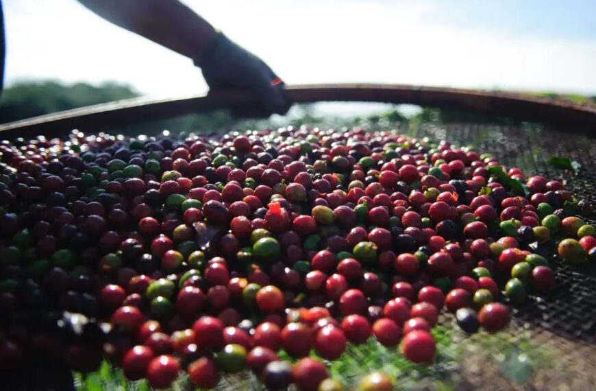 Café fica mais caro em…