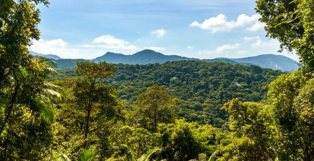 Sustentabilidade no agronegócio brasileiro