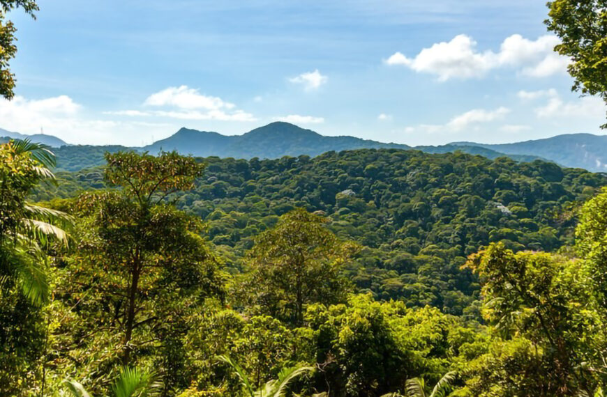 Sustentabilidade no agronegócio brasileiro