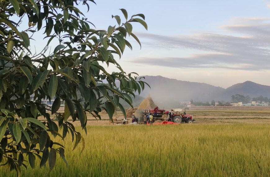 Eventos climáticos extremos: Brasil deve adotar medidas para atender produtores atingidos